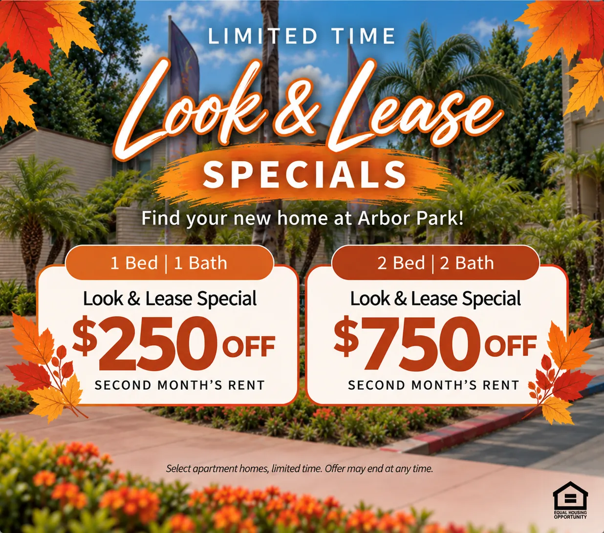 Shadow Mountain Apartments move-in special promotion