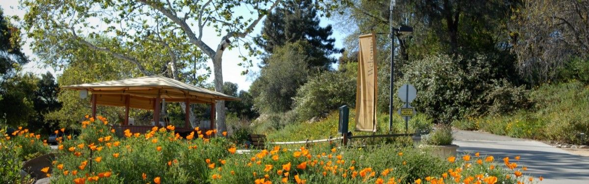 Rancho Santa Ana Botanic Gardens